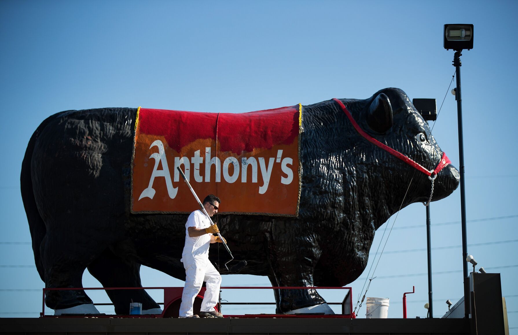 Iconic steer from Anthony's restaurant up for auction; proceeds will go to charity